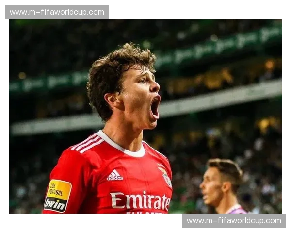 葡超球员身价：绿茵背后的商业线索与投资机遇